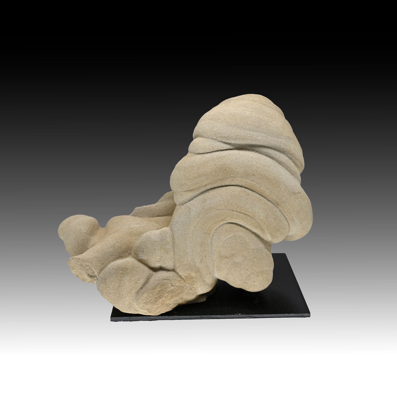 Gogotte Formation, Oligocene, approx. 30 million years ago