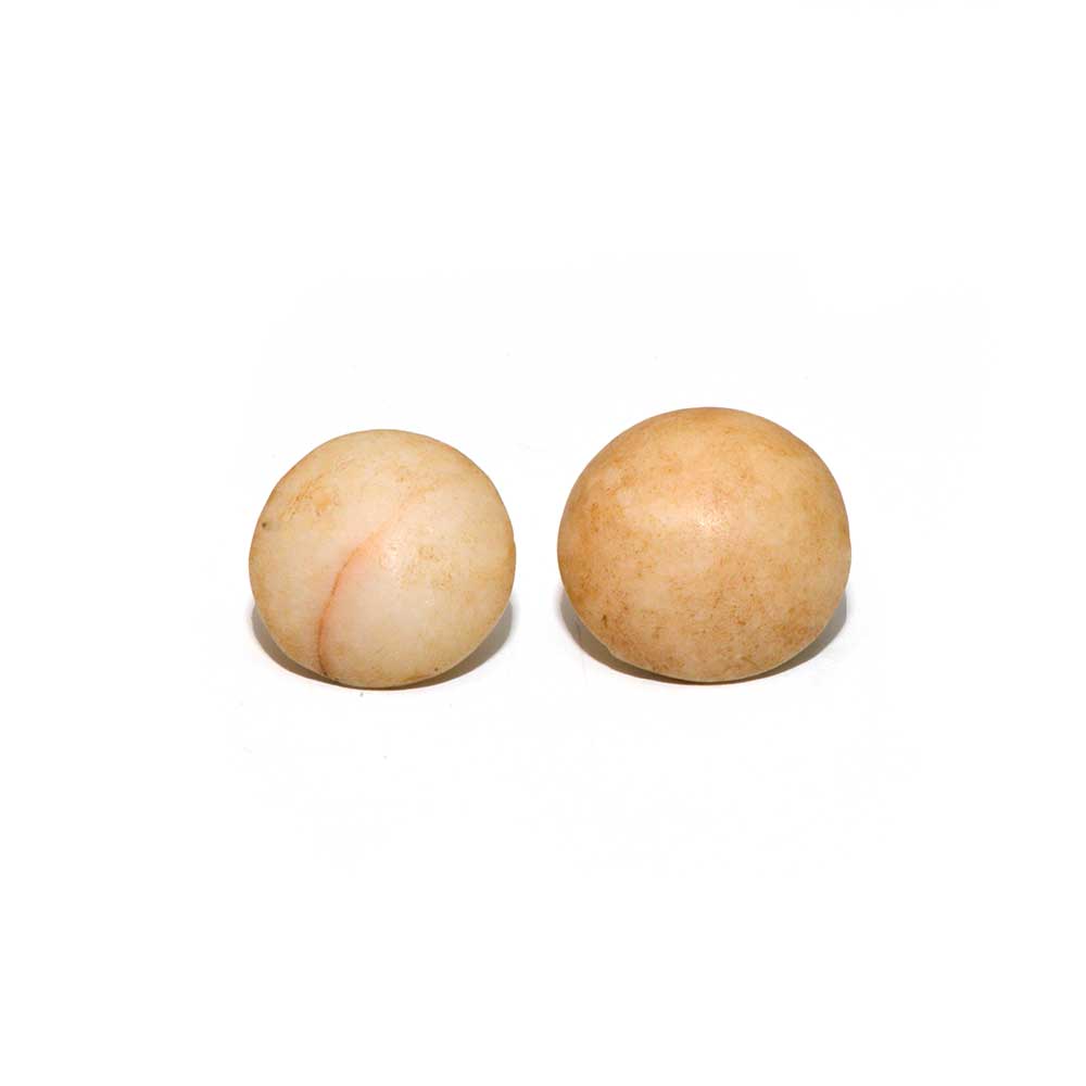 A pair of Egyptian Alabaster Ear Plugs, New Kingdom, 18th Dynasty, ca. 1550 - 1295 BCE