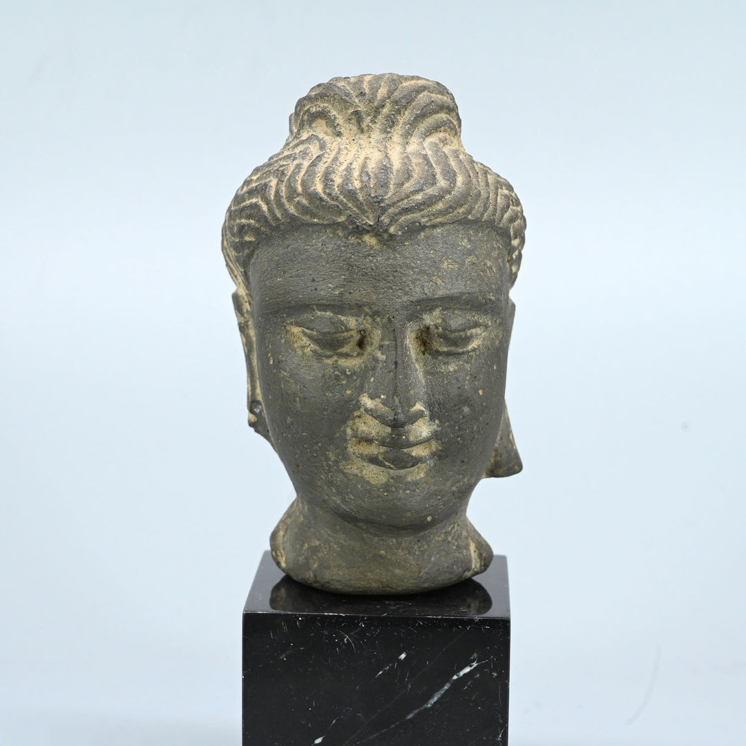 A Gandhara Stone Head of a Buddha, ca. 3rd century CE