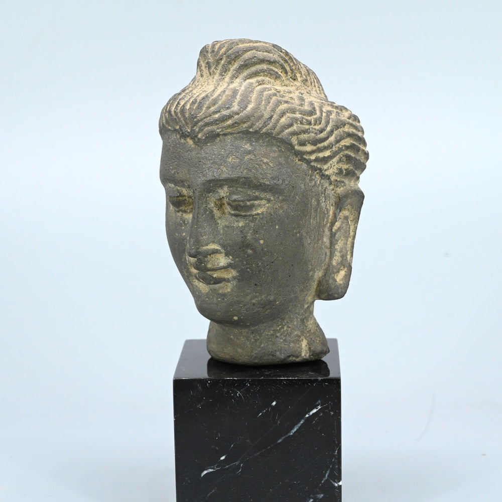 A Gandhara Stone Head of a Buddha, ca. 3rd century CE