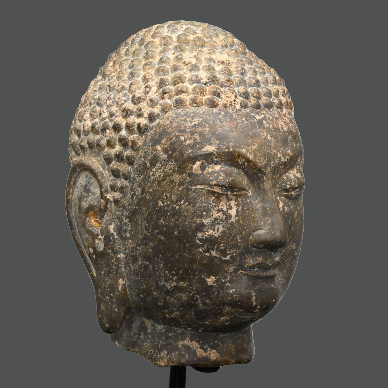 A Chinese Grey Limestone Head of a Buddha, Shandong Province, Northern Qi dynasty, ca. 550 - 577 CE