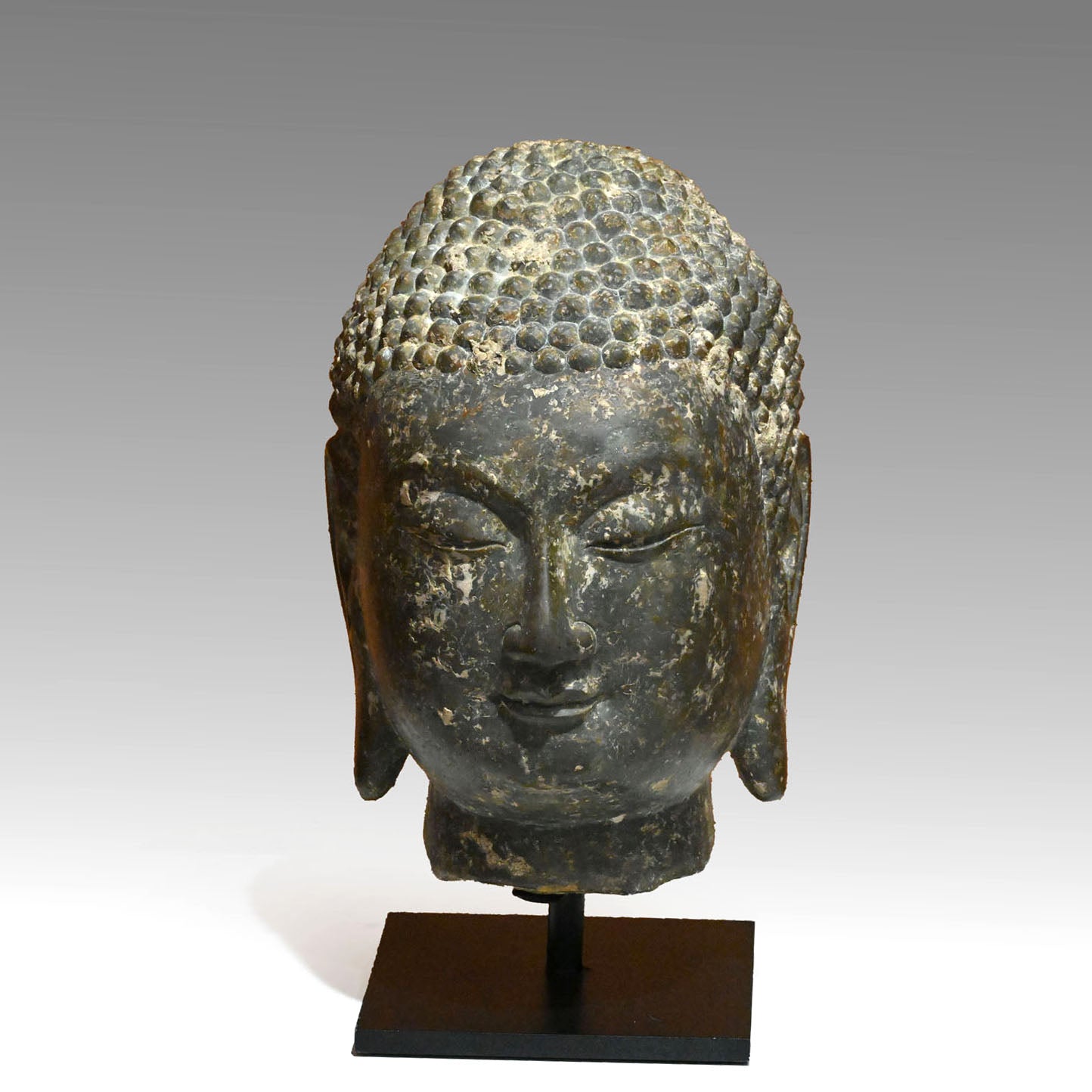 A Chinese Grey Limestone Head of a Buddha, Shandong Province, Northern Qi dynasty, ca. 550 - 577 CE