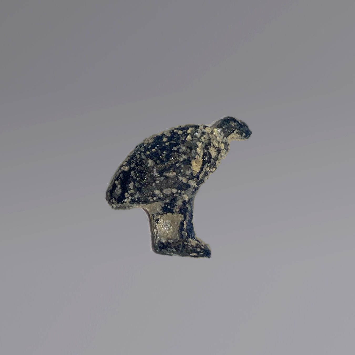 An Egyptian glass vulture amulet, Late Period, ca. 664 - 332 BCE