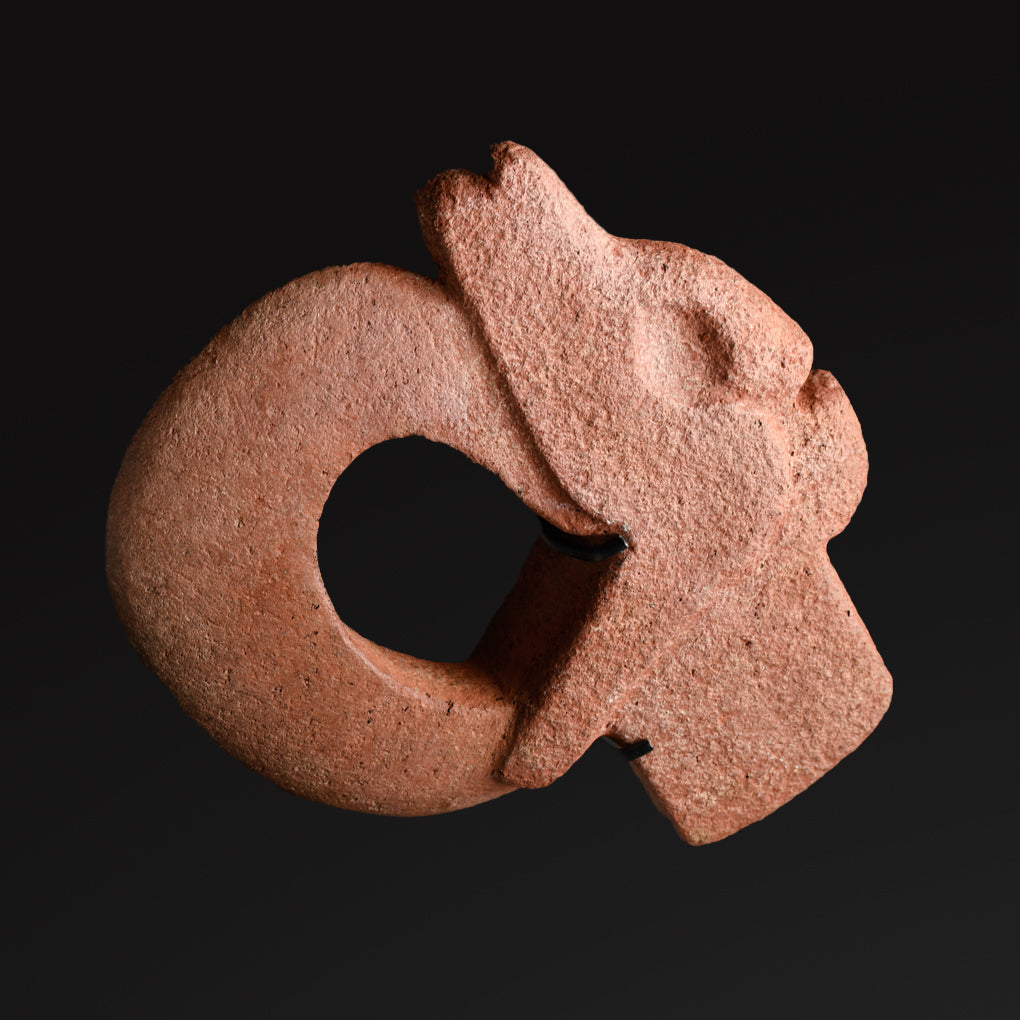 Ein seltener Veracruz Jaguar Hacha, klassische Periode, ca. 600 - 900 n. Chr