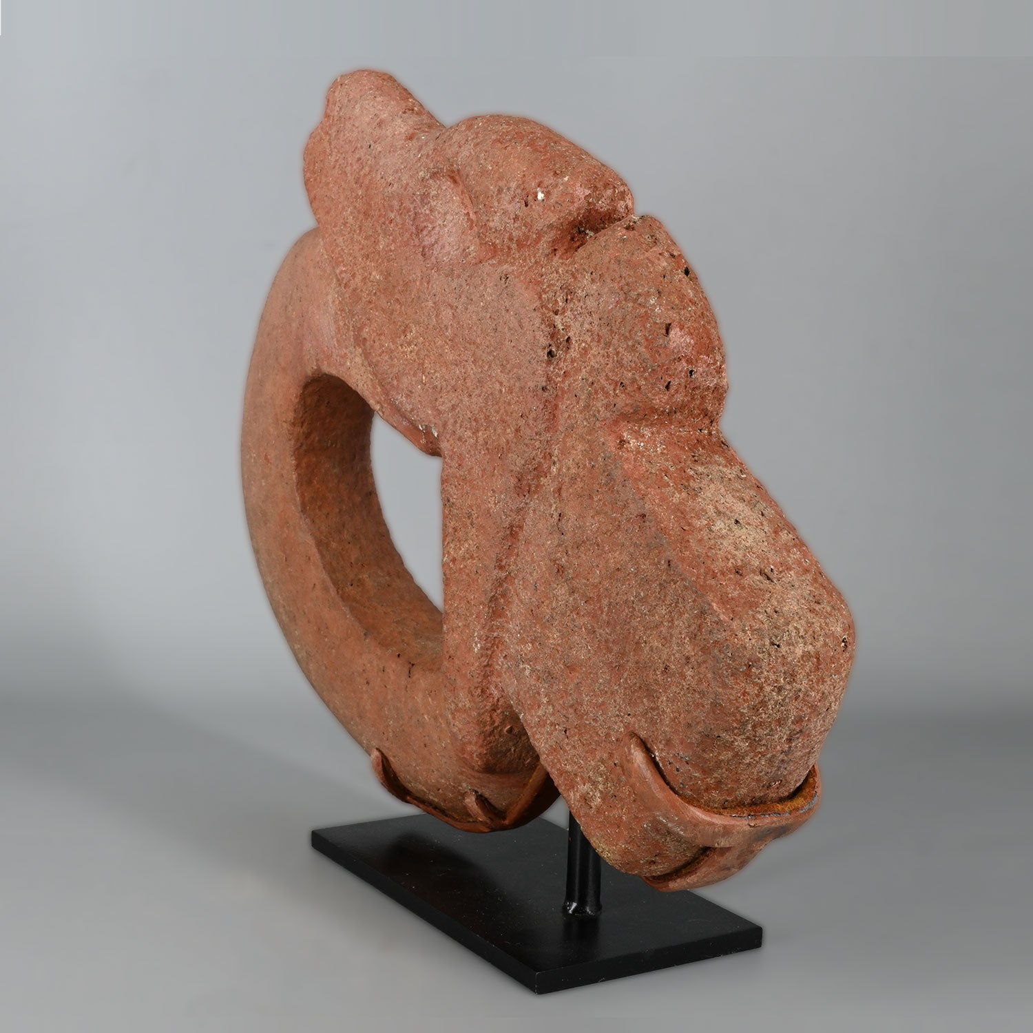 Ein seltener Veracruz Jaguar Hacha, klassische Periode, ca. 600 - 900 n. Chr