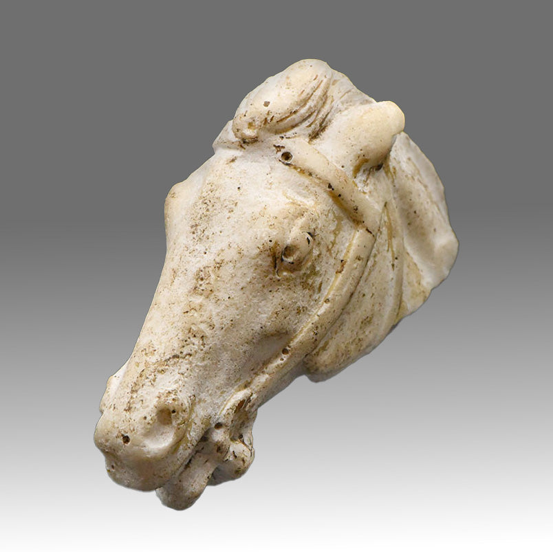 A Roman Limestone Fragment of a Horse Head, Roman Imperial Period, ca. 1st - 2nd century CE
