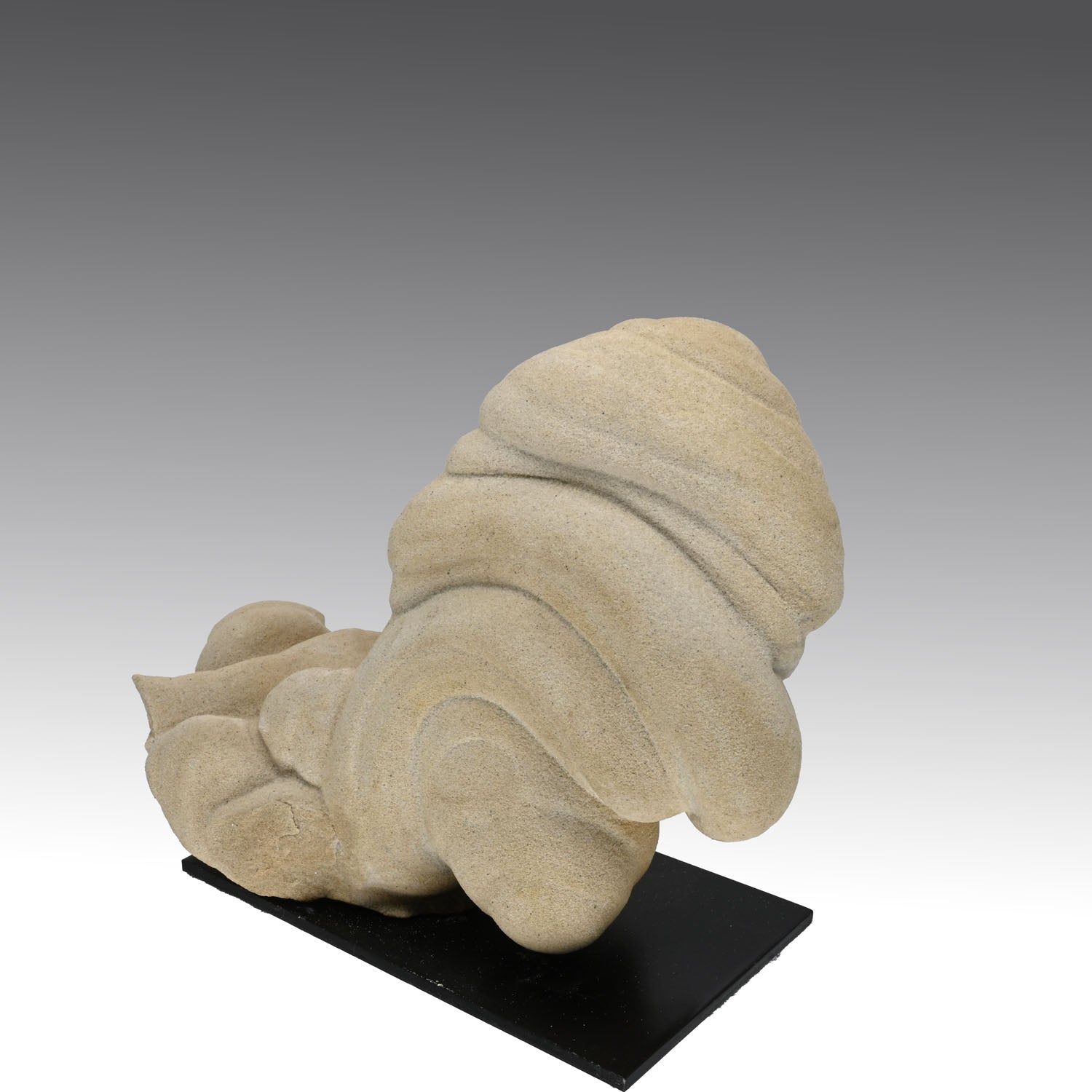 Gogotte Formation, Oligocene, approx. 30 million years ago