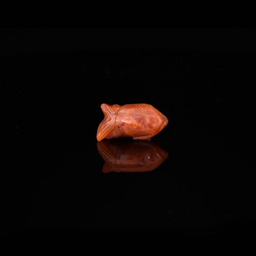 An Rare Egyptian Carnelian Fish Amulet, Middle Kingdom, ca. 2040 - 1783 BCE