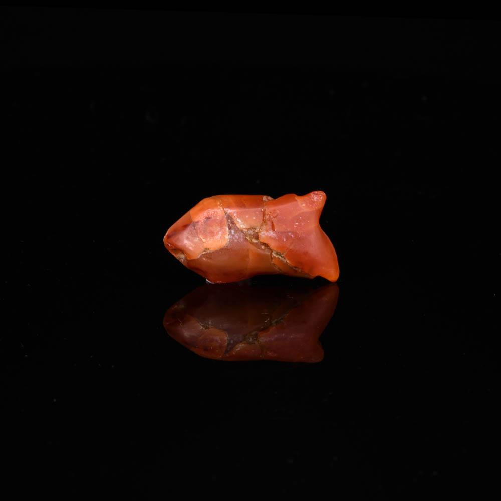 An Rare Egyptian Carnelian Fish Amulet, Middle Kingdom, ca. 2040 - 1783 BCE