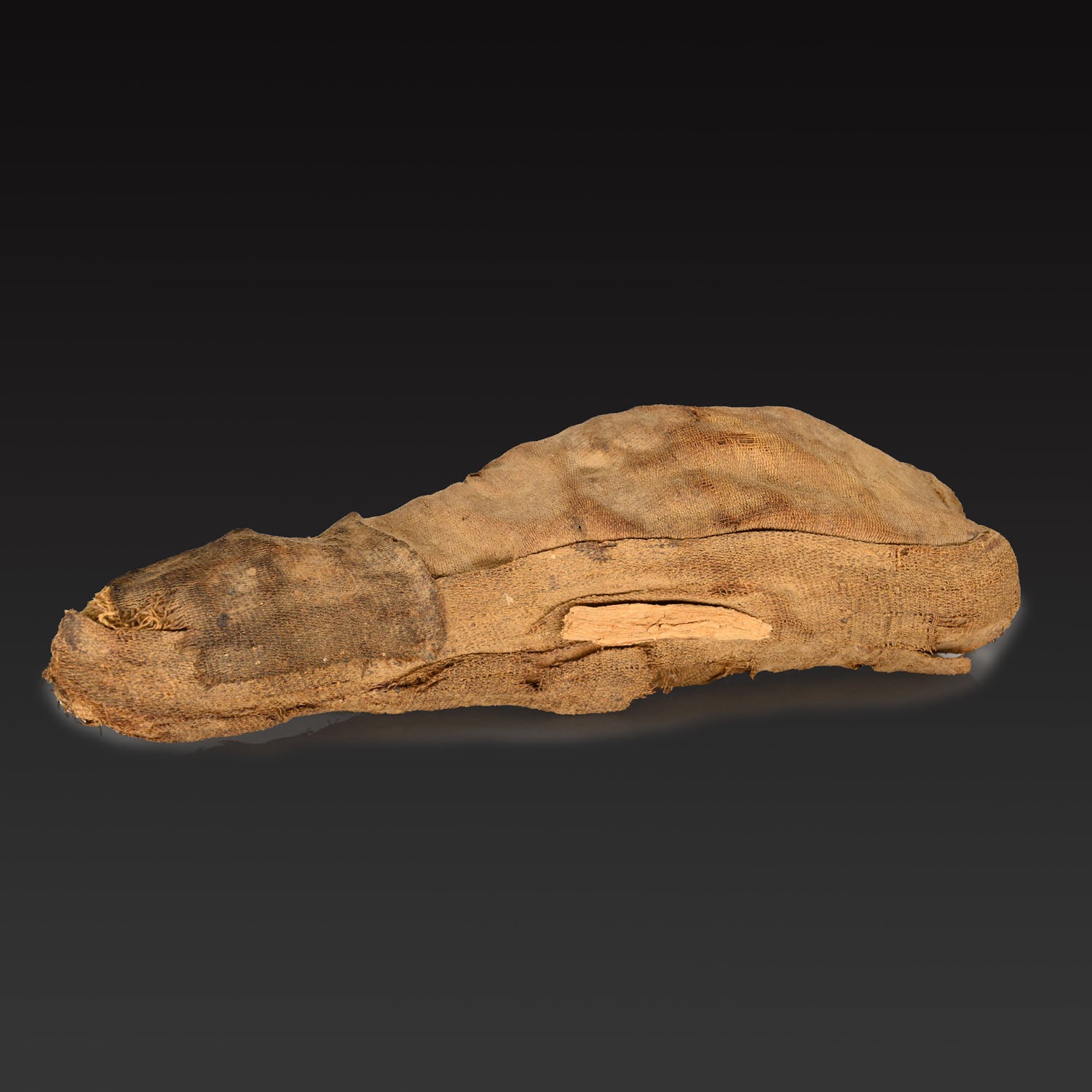 An Egyptian Sacred Animal Mummy of an Ibis, Late Period, ca. 664 - 332 BCE