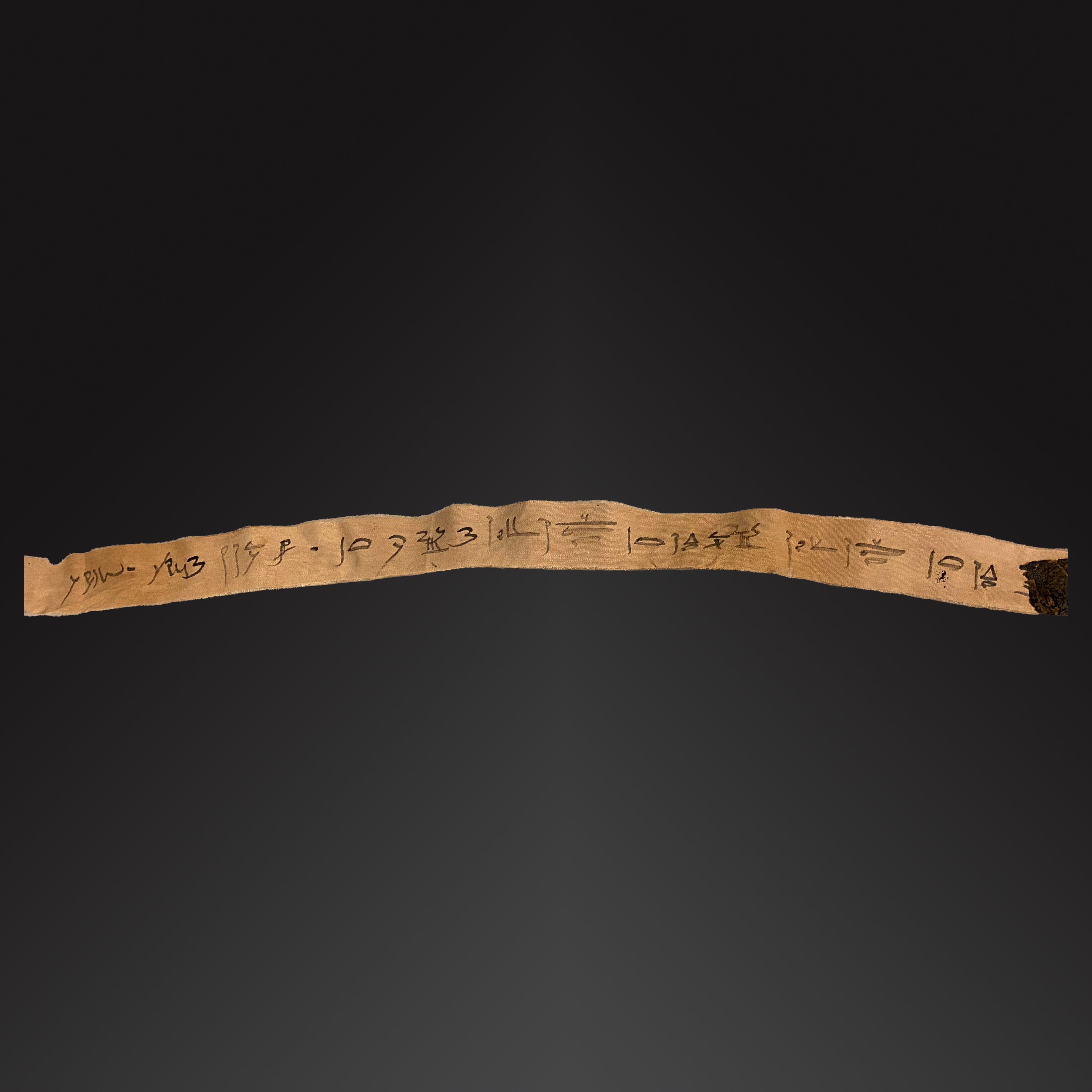 A long Egyptian demotic inscribed mummy linen fragment<br><em>Late Period, ca. 664-332 BCE</em>