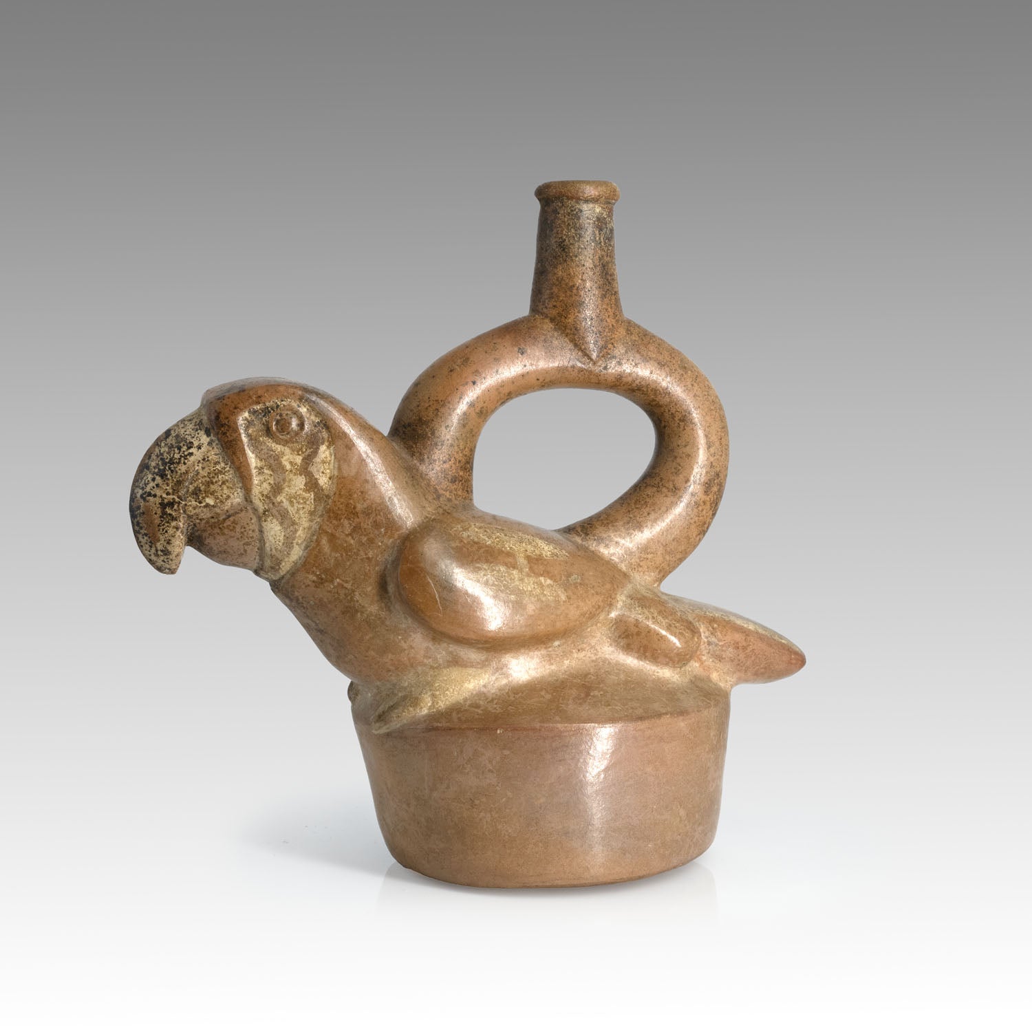 Moche Parrot Stirrup-Spout Vessel, Early Intermediate Period, ca. A.D. 200–700