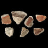 A group of seven Roman fresco fragments, Roman Imperial, ca. 1st century AD