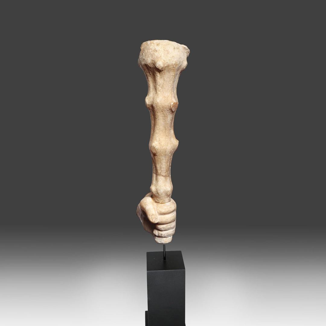 Roman Marble Hand of Hercules Holding his Club, Roman Imperial Period, ca. 2nd - 3rd century CE