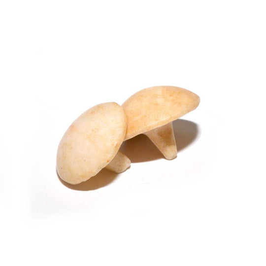 A pair of Egyptian Alabaster Ear Plugs, New Kingdom, 18th Dynasty, ca. 1550 - 1295 BCE