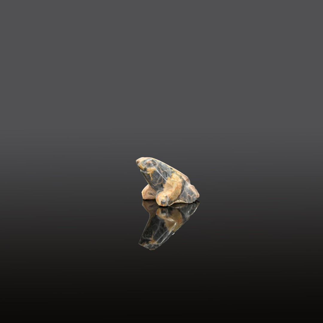 An Egyptian Stone Frog, Late Period, ca. 664 - 332 BCE