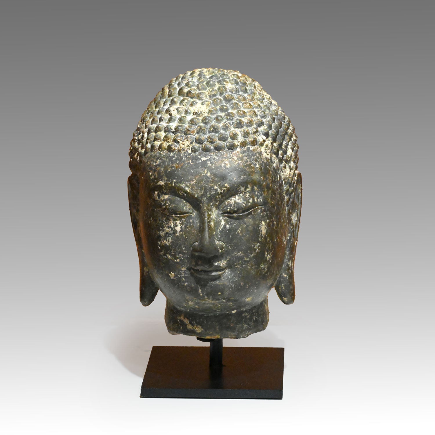 Ein chinesischer Buddha-Kopf aus grauem Kalkstein, Provinz Shandong, Nördliche Qi-Dynastie, ca. 550 - 577 n. Chr