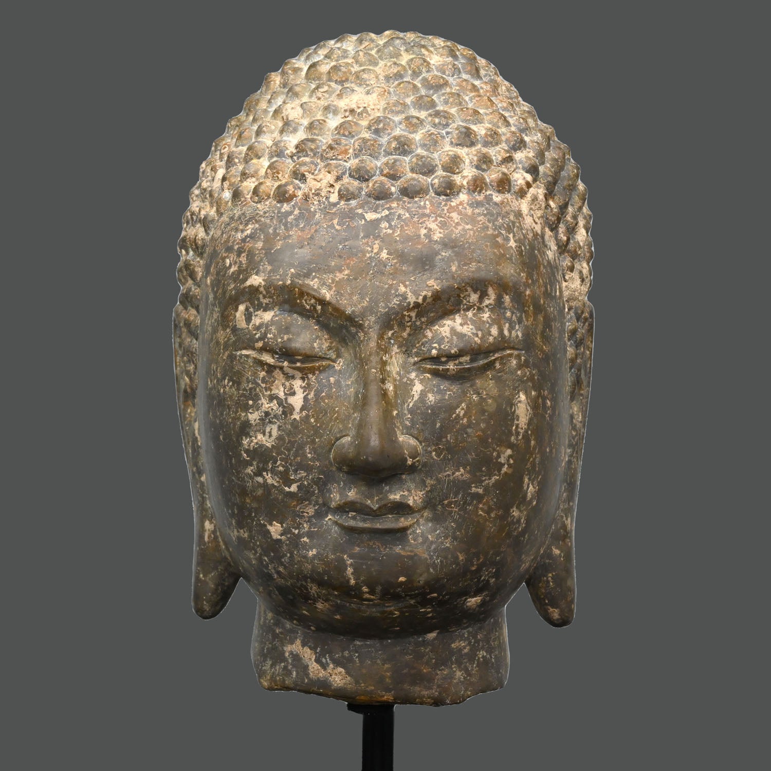 Ein chinesischer Buddha-Kopf aus grauem Kalkstein, Provinz Shandong, Nördliche Qi-Dynastie, ca. 550 - 577 n. Chr