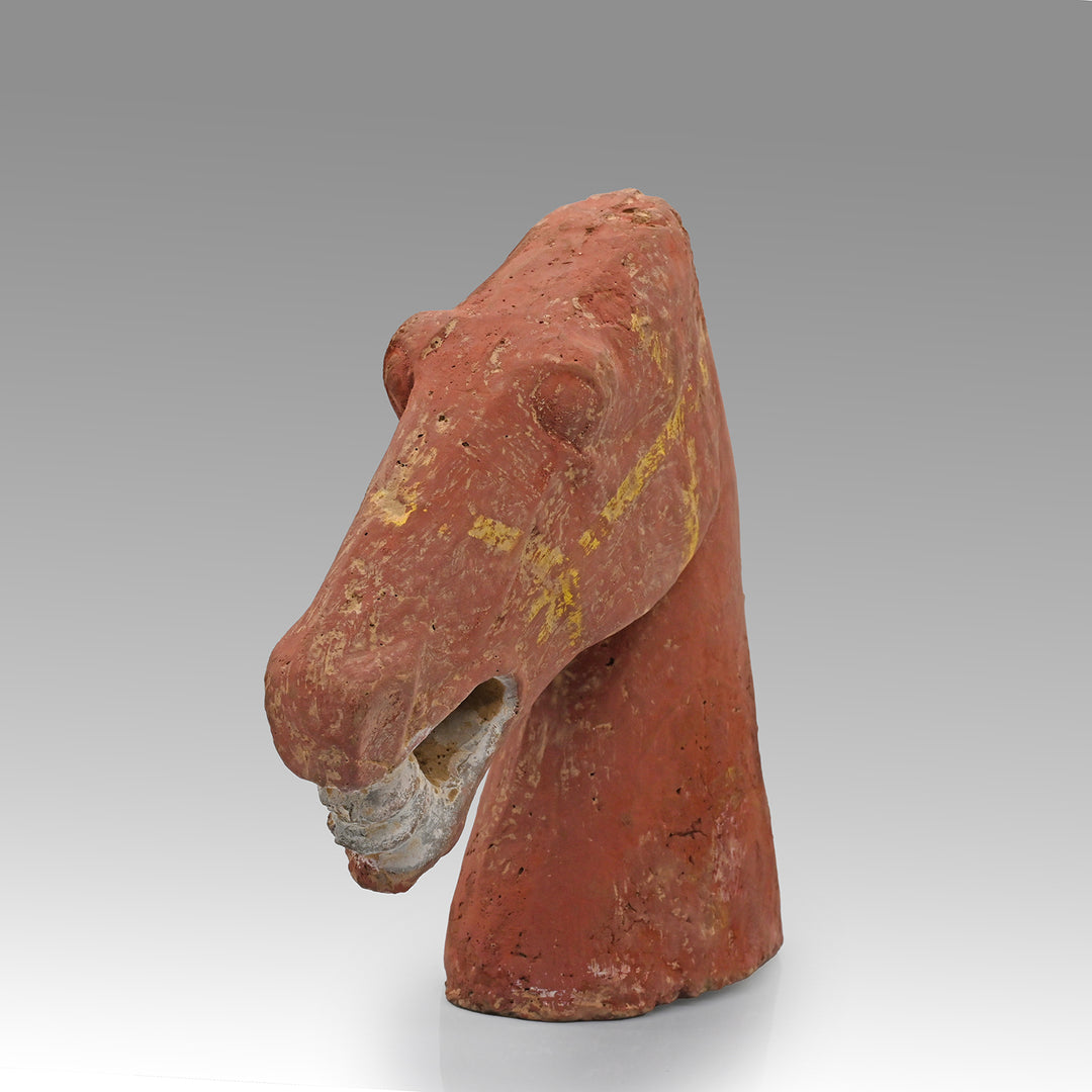 A Chinese Terracotta Head of a Horse, Han Dynasty, ca. 25 - 220 CE