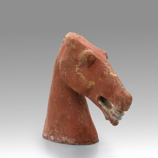 A Chinese Terracotta Head of a Horse, Han Dynasty, ca. 25 - 220 CE