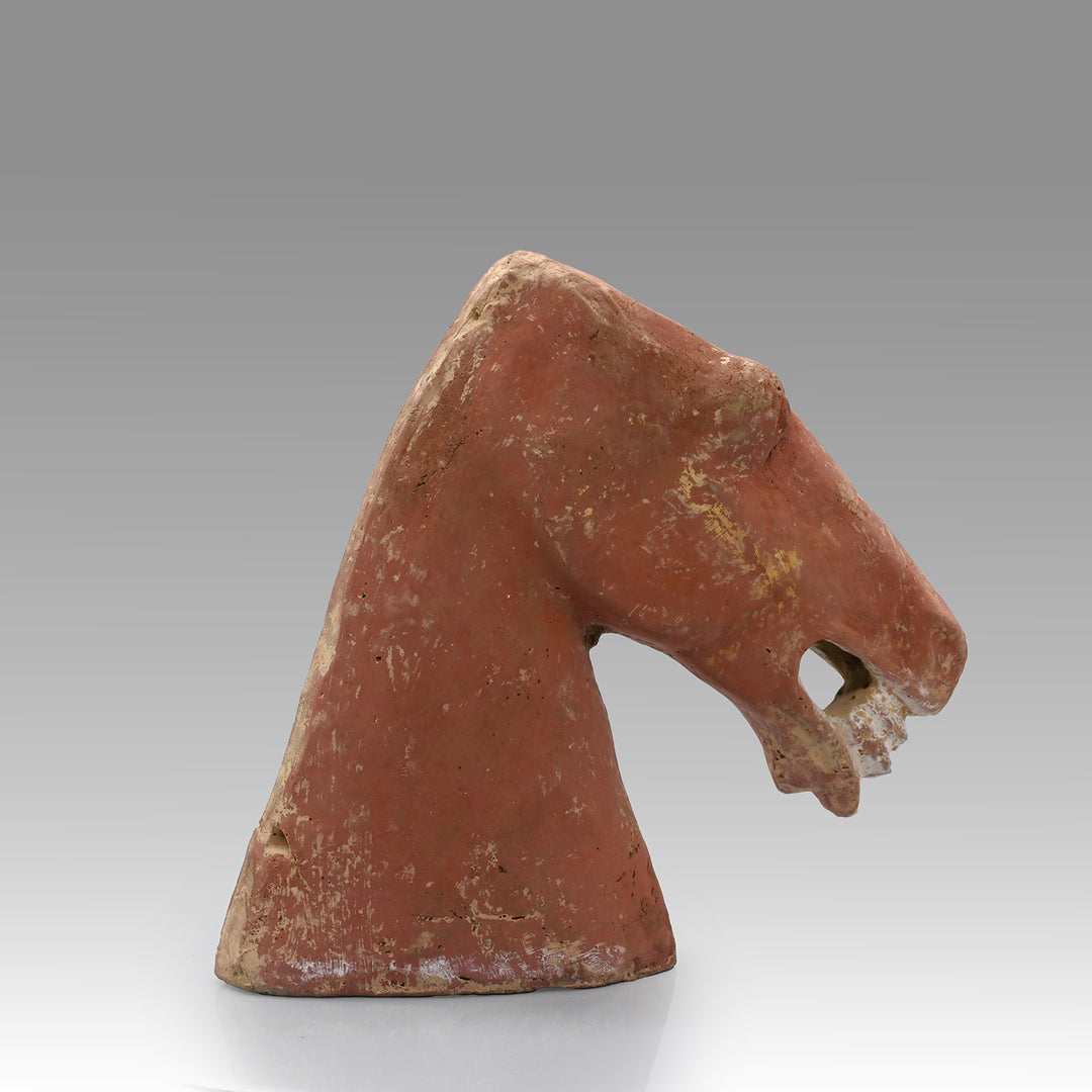 A Chinese Terracotta Head of a Horse, Han Dynasty, ca. 25 - 220 CE