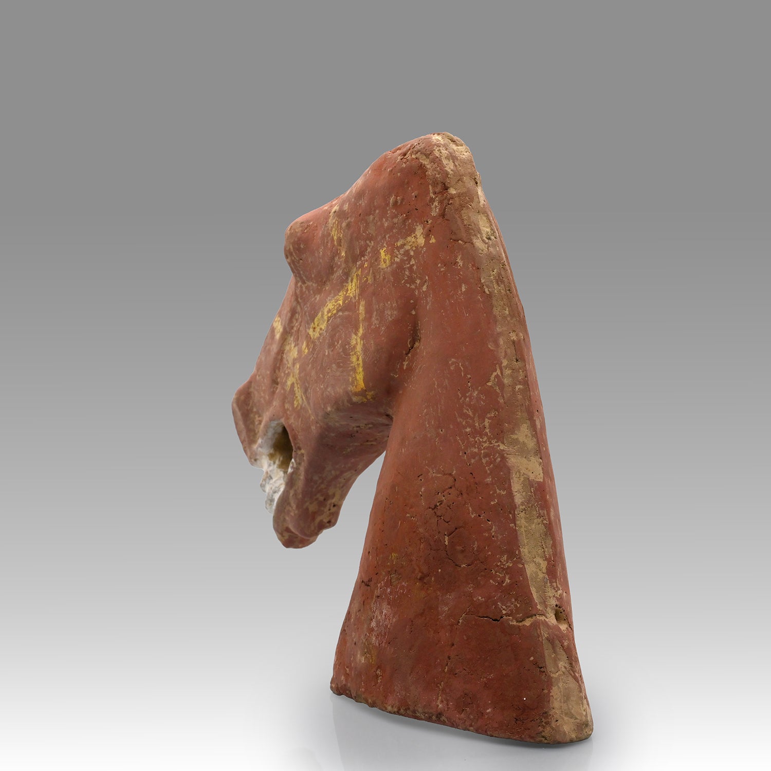 A Chinese Terracotta Head of a Horse, Han Dynasty, ca. 25 - 220 CE