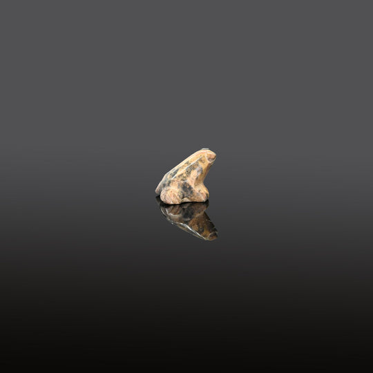 An Egyptian Stone Frog, Late Period, ca. 664 - 332 BCE