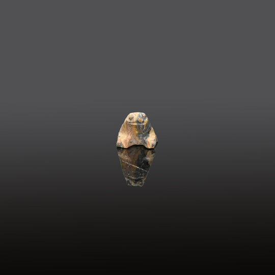 An Egyptian Stone Frog, Late Period, ca. 664 - 332 BCE