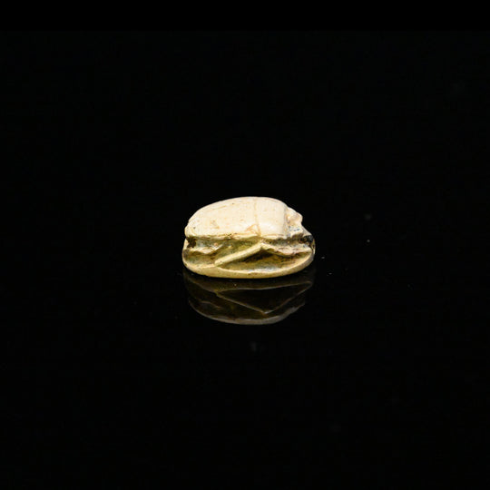 An Egyptian Steatite Scarab for Thutmosis IV, ca. 1397 - 1387 BCE