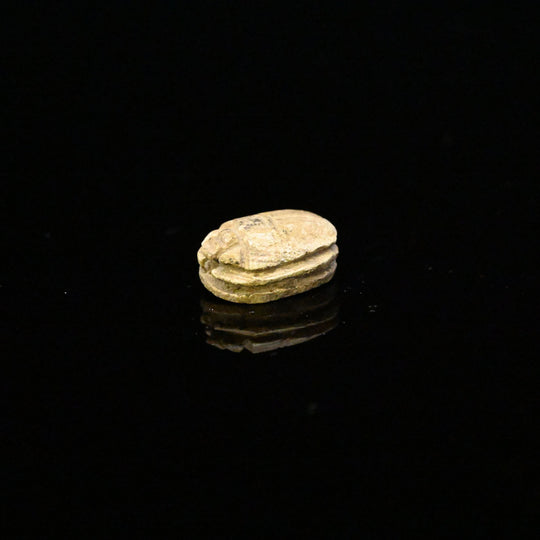 A Royal Egyptian Steatite Scarab, 25th Dynasty, ca. 747 - 656 BCE