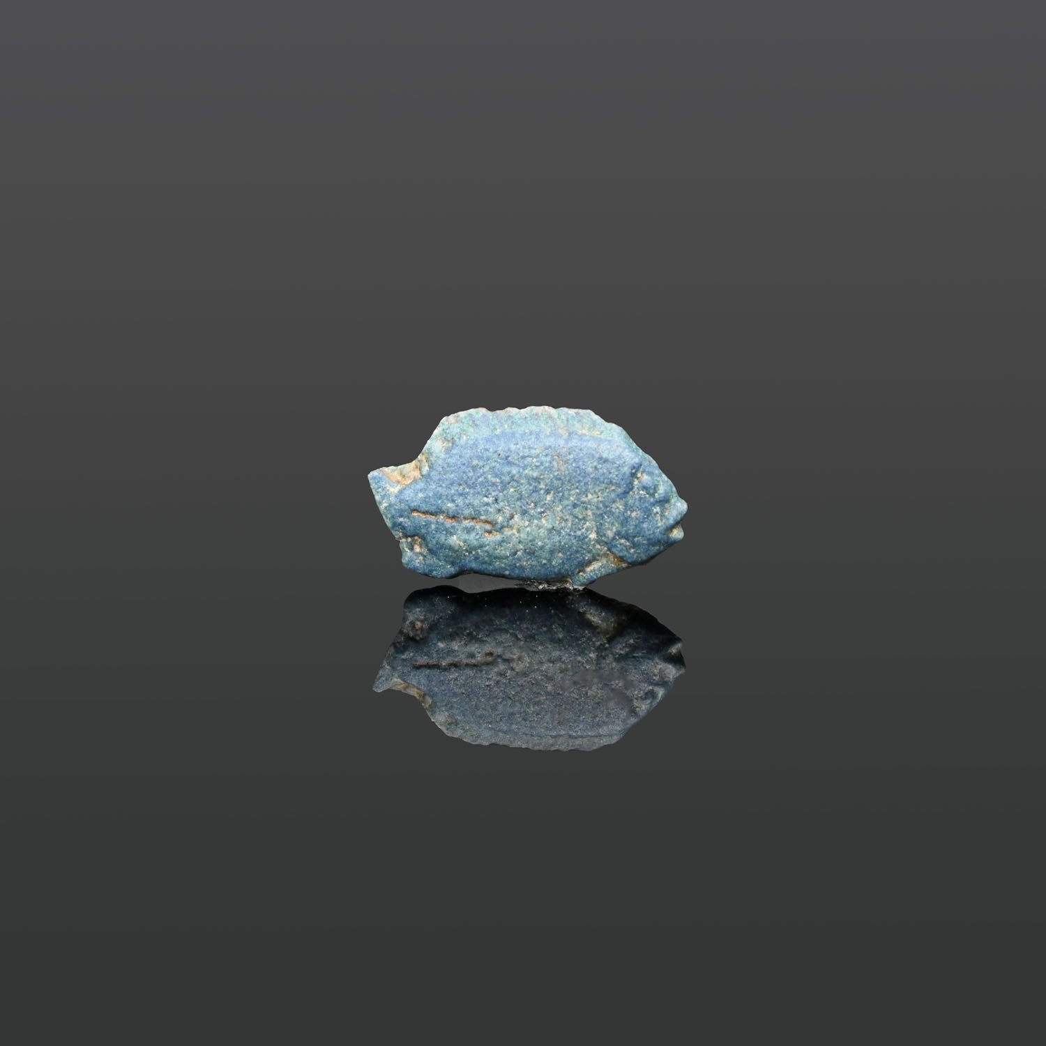 Ein ägyptisches blaues Fayence-Amulett eines Bolti-Fisches, Neues Reich, Amarna-Zeit, ca. 1364 - 1347 v. Chr