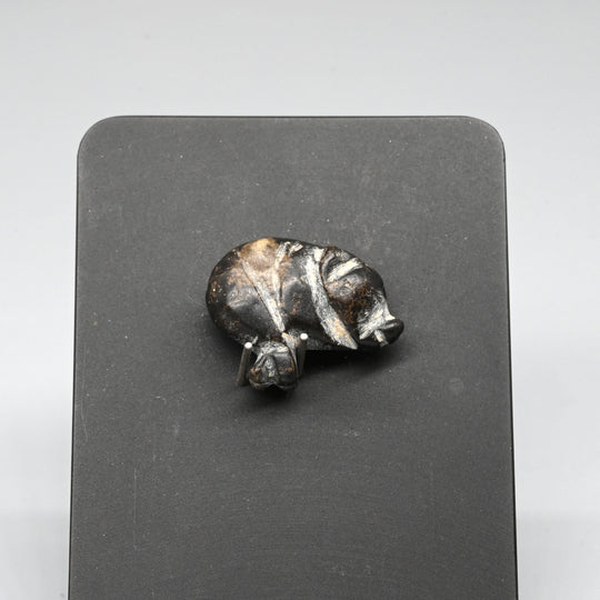A rare Egyptian Trussed Boar Amulet, New Kingdom, ca. 1550 - 1069 BCE