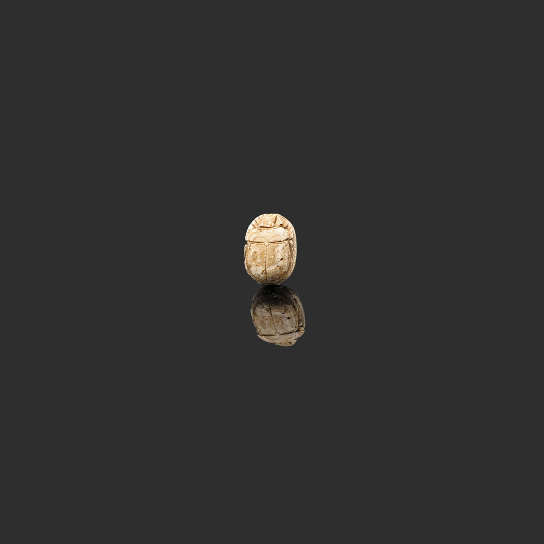 A good luck Egyptian Steatite Scarab, Late Period, ca. 664 - 332 BCE