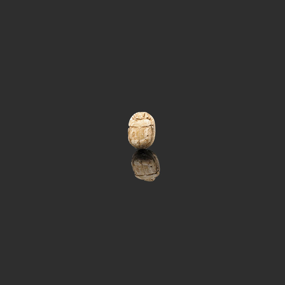 Viel Glück, ägyptischer Steatit-Skarabäus, Spätzeit, ca. 664 - 332 v. Chr