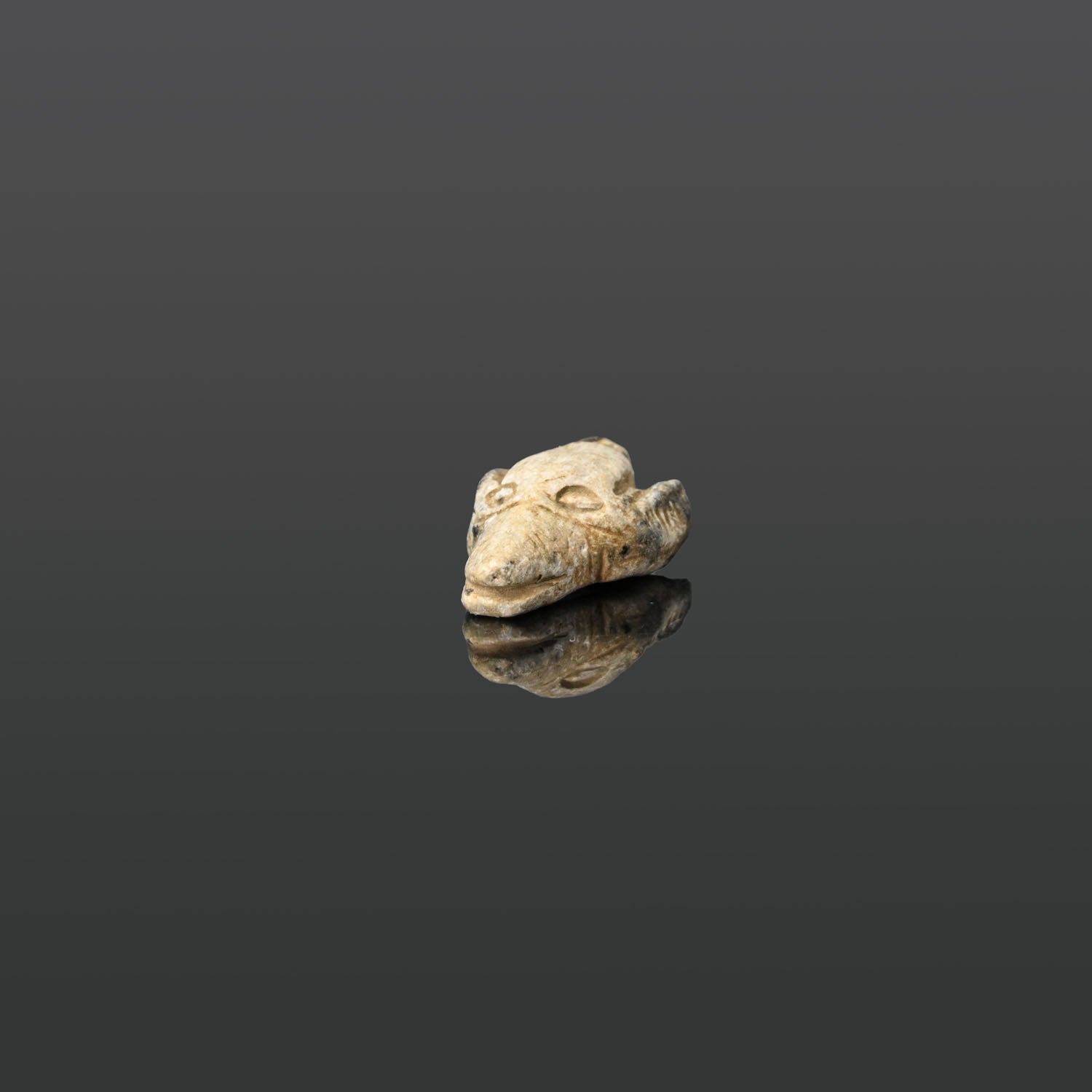 An Egyptian Steatite Jackal Head Amulet, Middle Kingdom, ca. 2070 - 1600 BCE