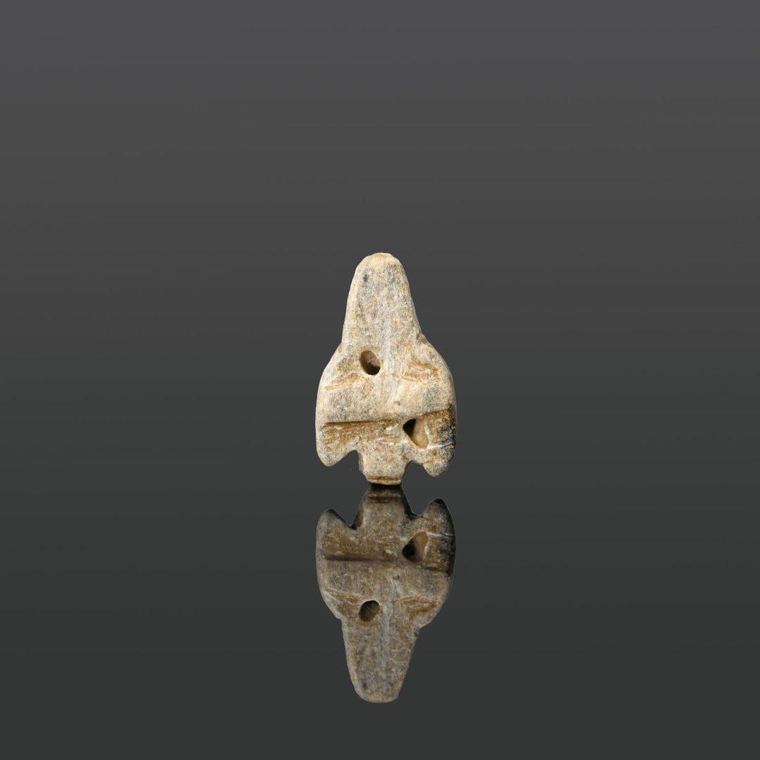 Ein ägyptisches Speckstein-Schakalkopf-Amulett, Mittleres Reich, ca. 2070 - 1600 v. Chr
