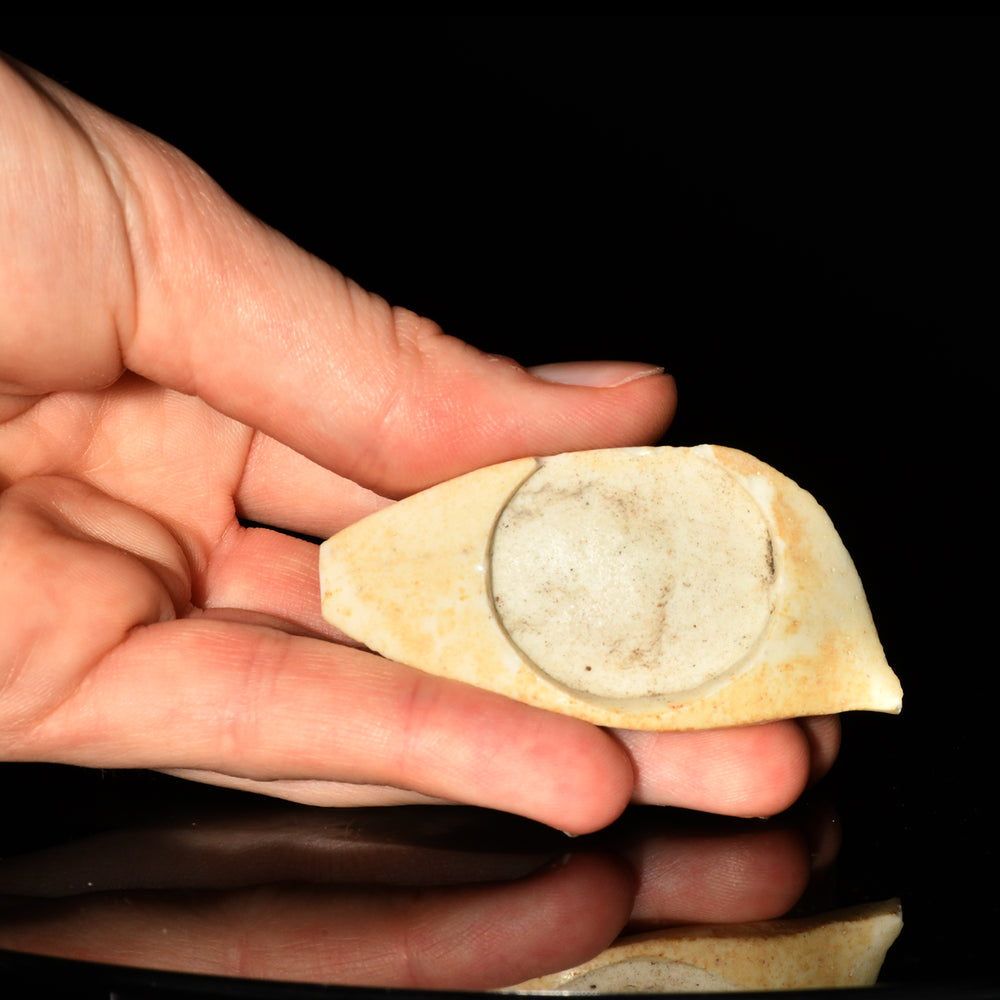 An Egyptian White Glass Eye Inlay, New Kingdom, 18th Dynasty, ca. 1550 - 1295 BCE