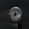 A Large Egyptian Diorite Rotary Grinding Stone, Old Kingdom, ca. 2543-1980 BCE