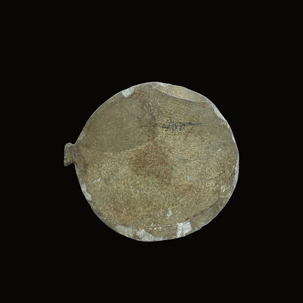 An Egyptian Pre-Dynastic Slate Palette, ca. 3500 - 3000 BCE