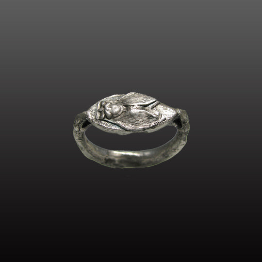 A Rare Greek Silver Ring with Cicada and Serpent Motif, Archaic Period, ca. 6th - 5th century BCE