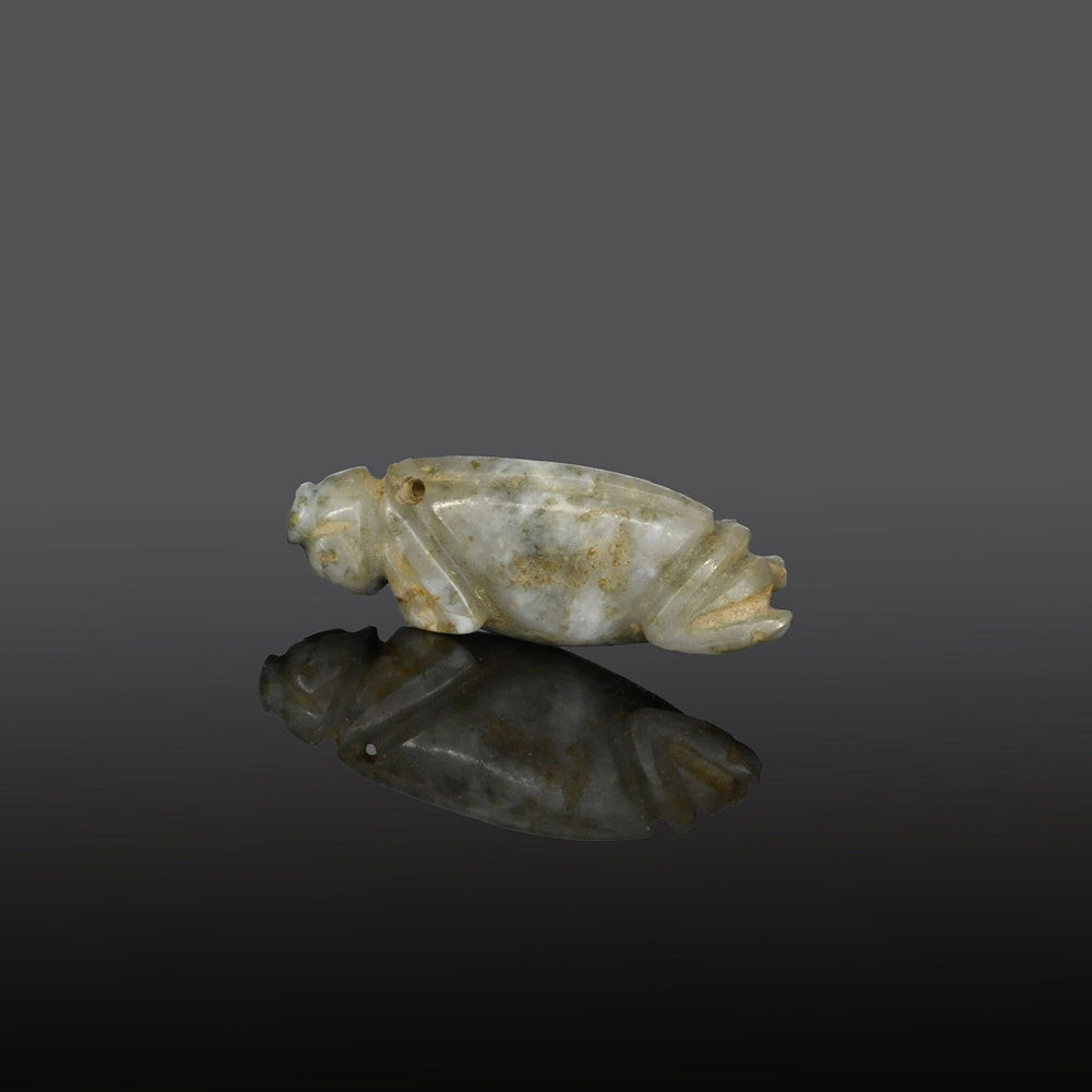 * Eine Jadeheuschrecke/Heuschrecke aus Costa Rica, ca. 300 - 900 n. Chr