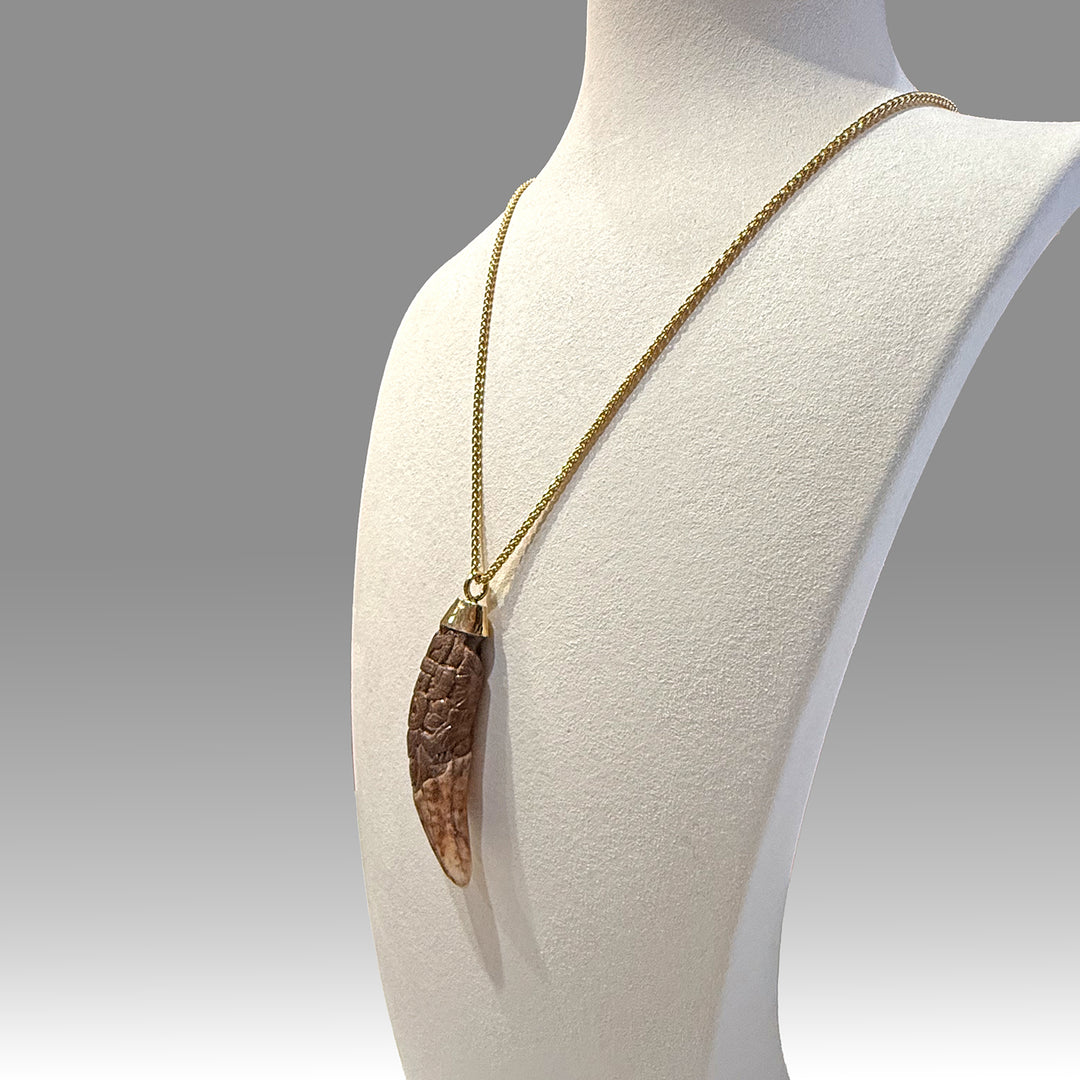 A rare and exceptional Maya Decorated Jaguar Tooth Pendant, Classic Period, ca. 500 - 800 CE