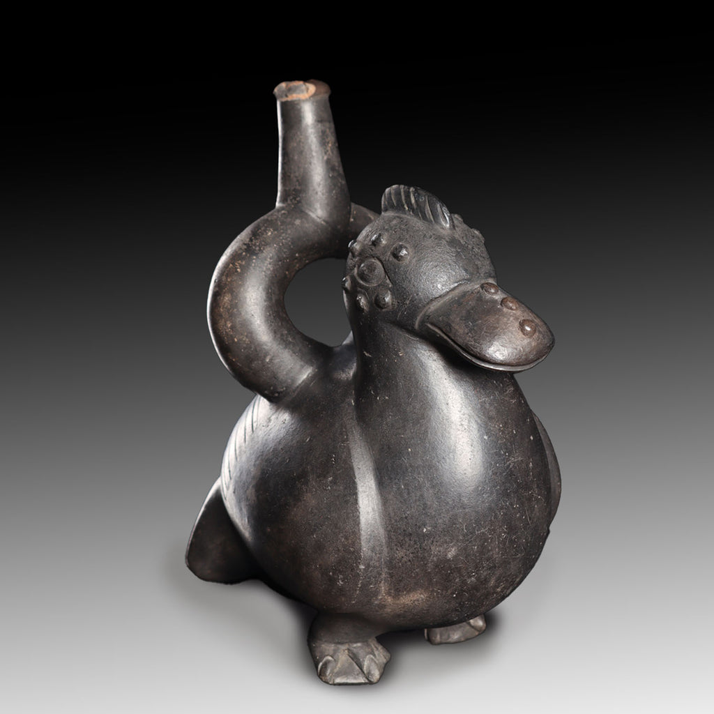 An Exhibited Moche Vessel of a Muscovy Duck, Early Intermediate Period - Middle Horizon, ca. 200 - 900 CE