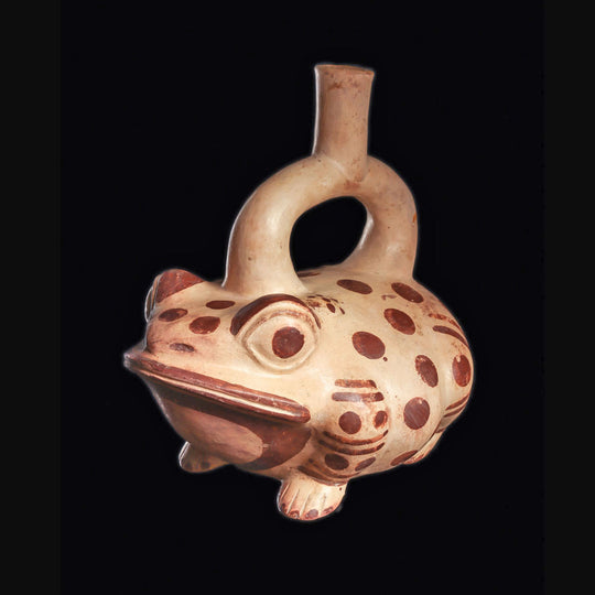 An exceptional Moche Stirrup Vessel of The Botanical Frog, Moche III Period, ca. 400 - 700 CE