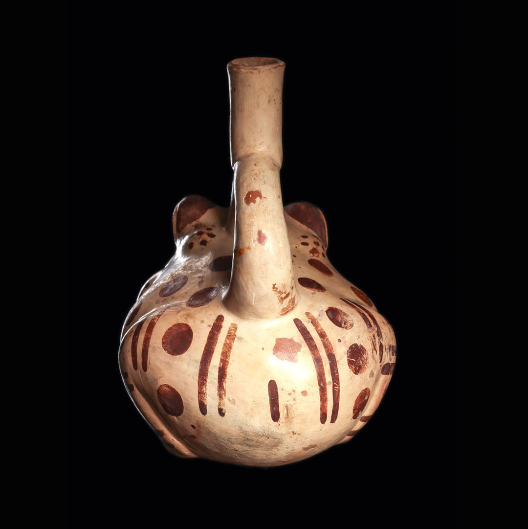 An exceptional Moche Stirrup Vessel of The Botanical Frog, Moche III Period, ca. 400 - 700 CE