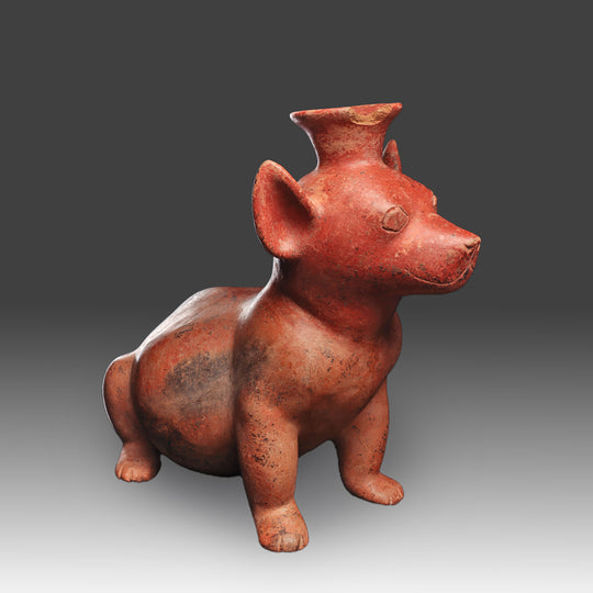 A good Colima Redware seated Dog, ca. 250 BCE - 100 CE