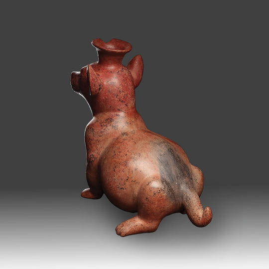 A good Colima Redware seated Dog, ca. 250 BCE - 100 CE