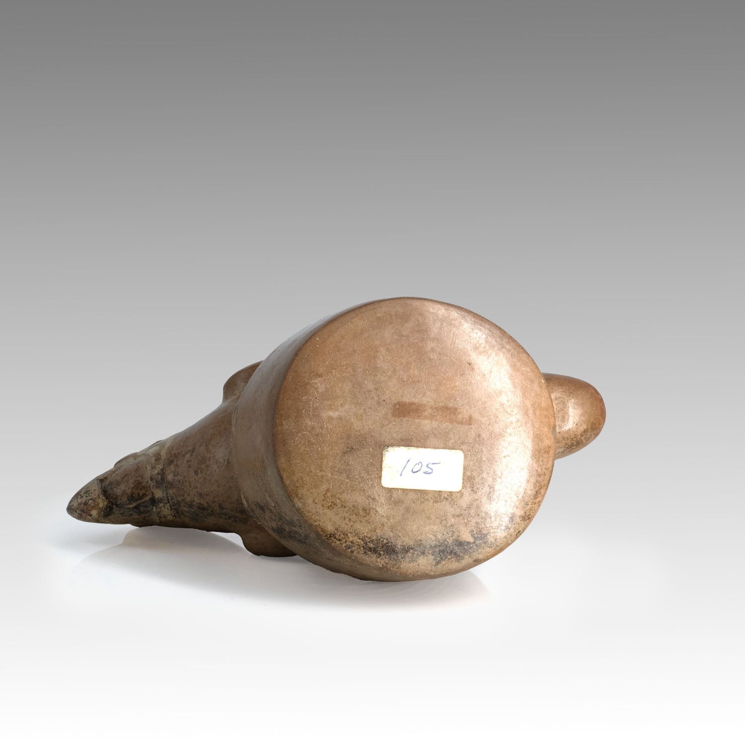 Moche Parrot Stirrup-Spout Vessel, Early Intermediate Period, ca. A.D. 200–700