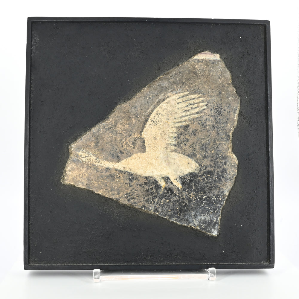 A Roman Fresco Wall Painting Fragment, Early Roman Imperial Period, ca. 15 BCE - 50 CE