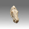 A Roman Limestone Fragment of a Horse Head, Roman Imperial Period, ca. 1st - 2nd century CE